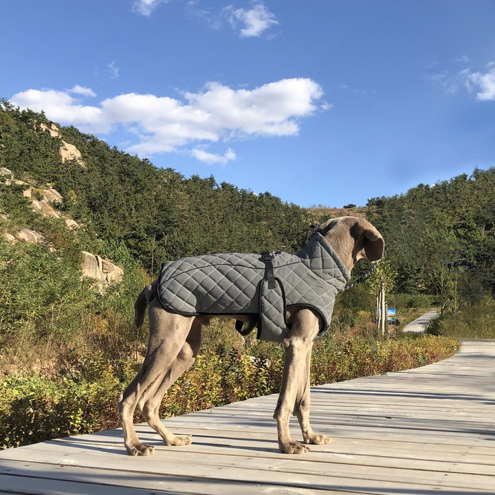 Full-Body Reflective Tactical Jacket for Pets
