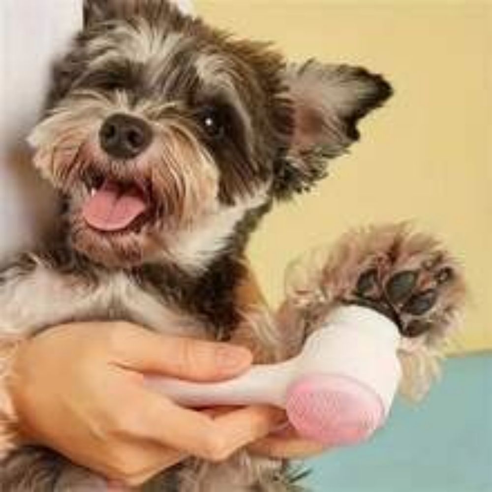 Easy-Clean Nylon Pet Paw Grooming Brush
