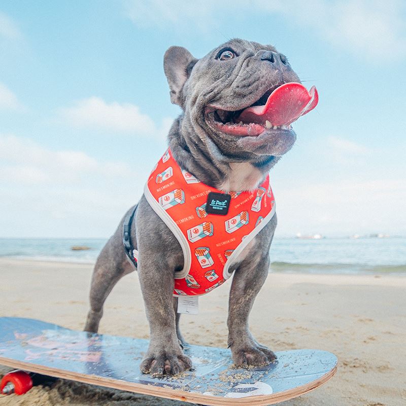 Adjustable Pet Chest Strap Leash