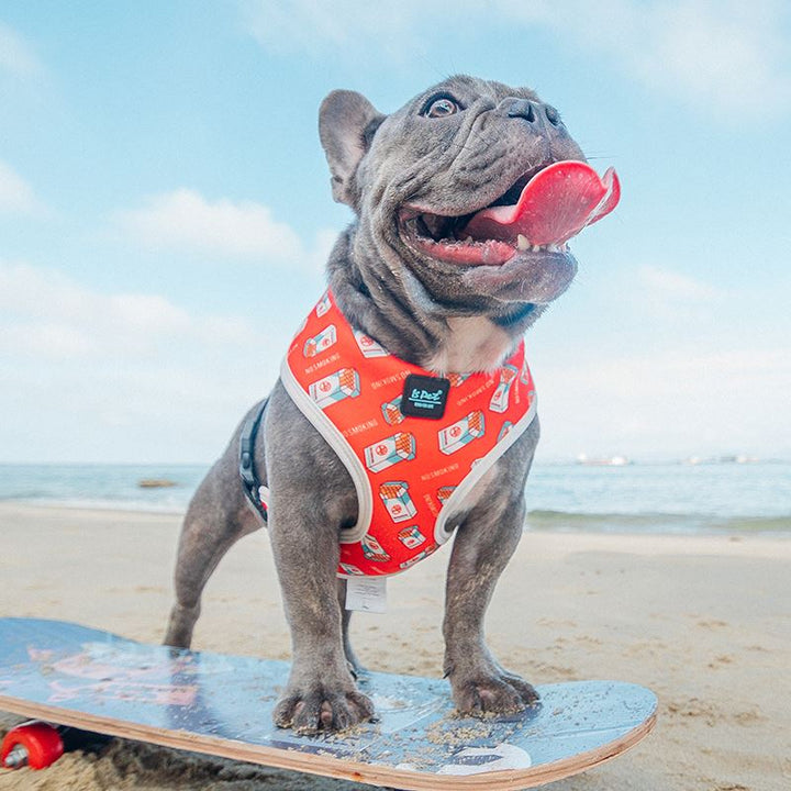 Adjustable Pet Chest Strap Leash
