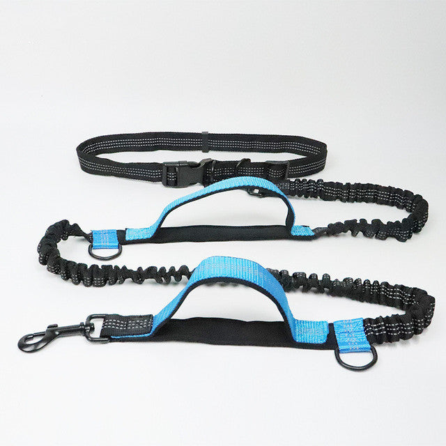 Adjustable Pet Harness Collar With Leash