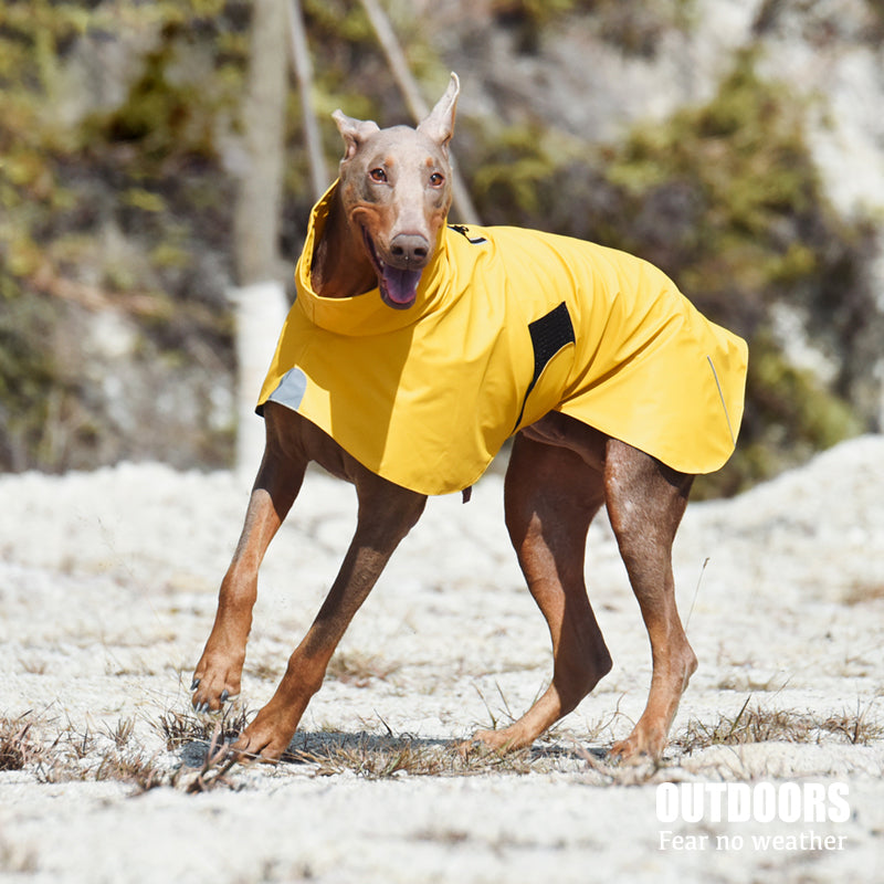 Pet Waterproof Windproof Shell Jacket Raincoat