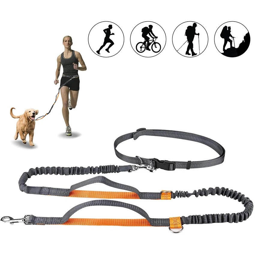 Adjustable Pet Harness Collar With Leash