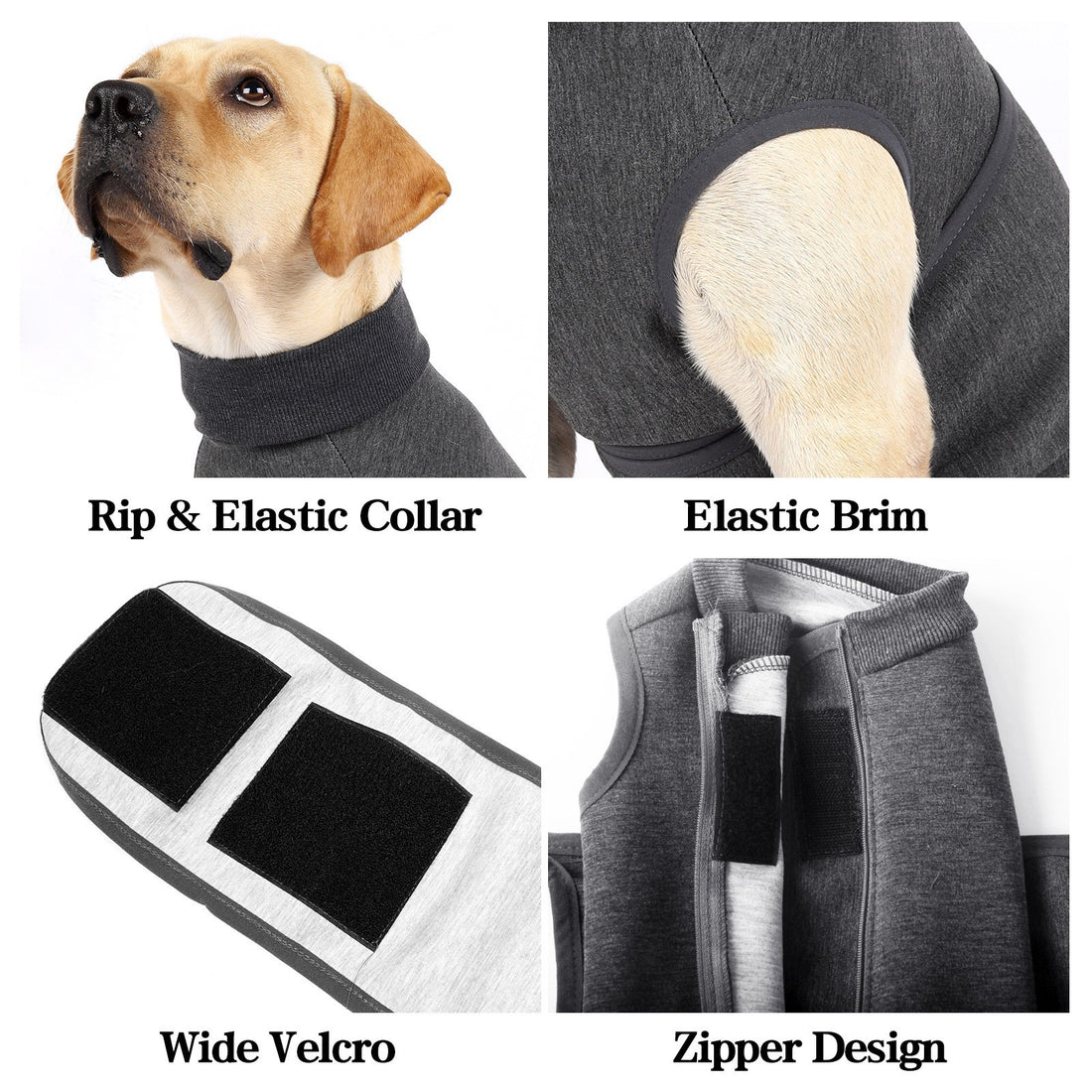 Pet Double-Layer Comfort Cotton Polyester Jacket