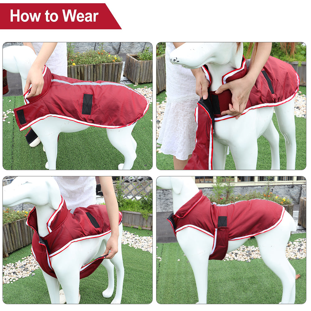 Autumn-Winter Warm Waterproof Leisure Jacket for Pets