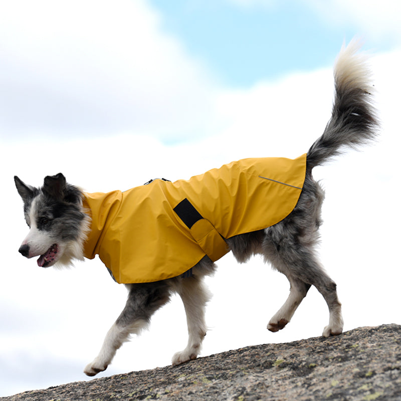 Pet Waterproof Windproof Shell Jacket Raincoat