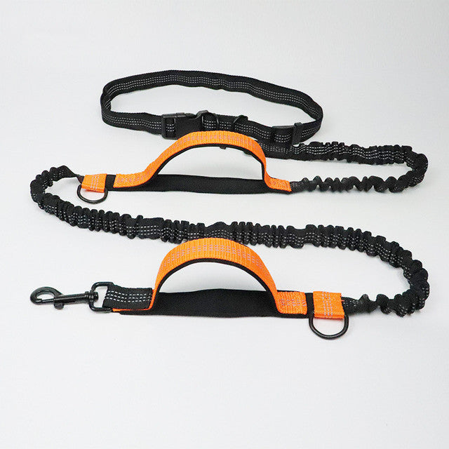 Adjustable Pet Harness Collar With Leash